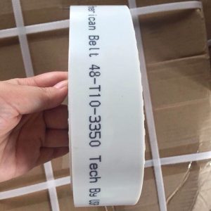 Dây American Belt